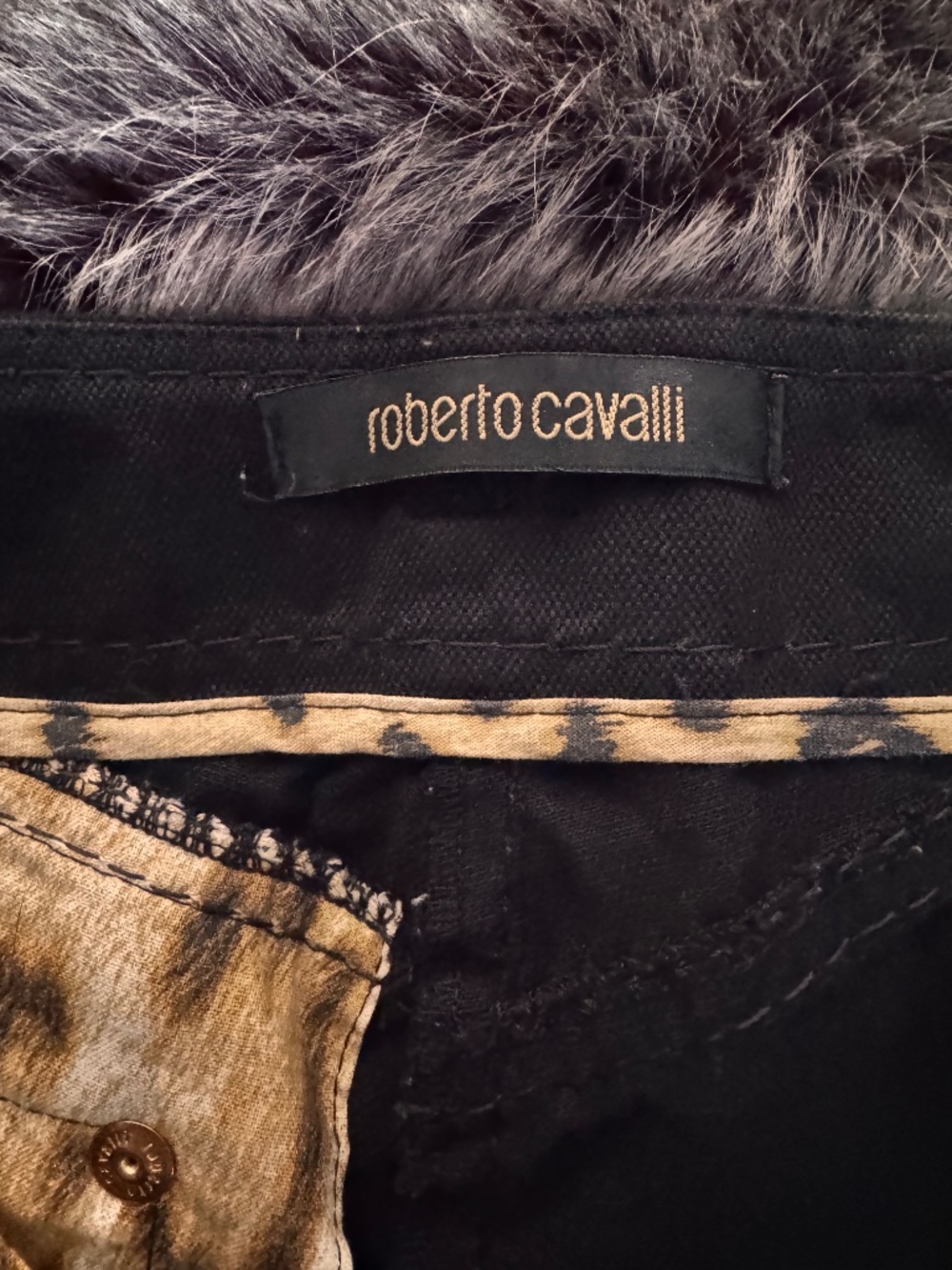 Roberto Cavalli - Picture 7 of 8
